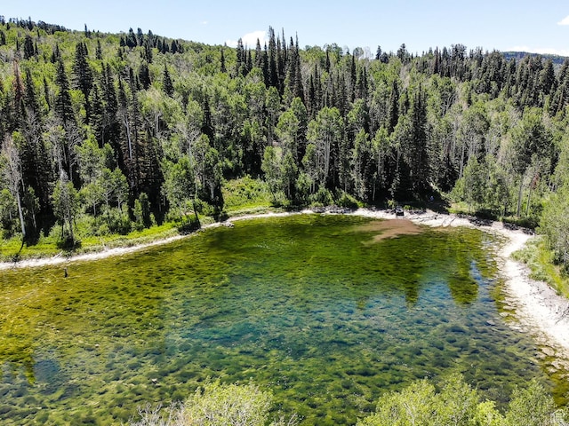 3090 N Rocky Rd E, Kamas, UT 84036 - property view of water featuring a view of trees