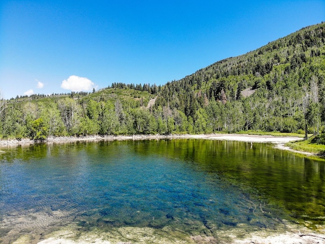 3090 N Rocky Rd E, Kamas, UT 84036 - water view featuring a wooded view