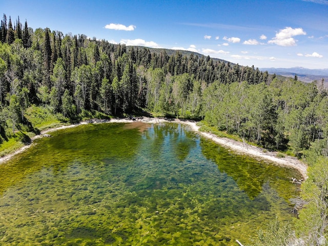 3090 N Rocky Rd E, Kamas, UT 84036 - property view of water with a view of trees