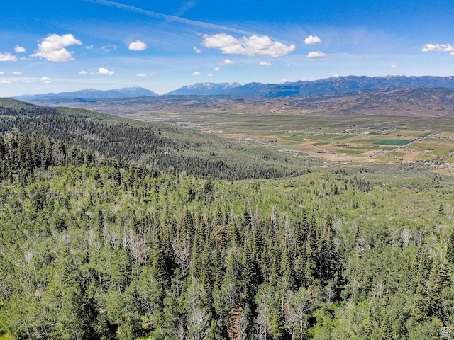 3090 N Rocky Rd E, Kamas, UT 84036 - mountain view with a wooded view