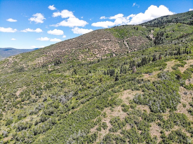 3090 N Rocky Rd E, Kamas, UT 84036 - property view of mountains
