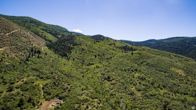 3090 N Rocky Rd E, Kamas, UT 84036 - property view of mountains with a view of trees