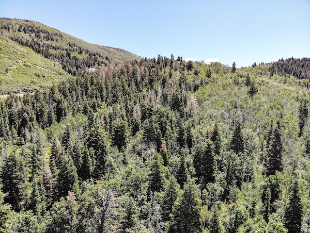 3090 N Rocky Rd E, Kamas, UT 84036 - property view of mountains featuring a view of trees
