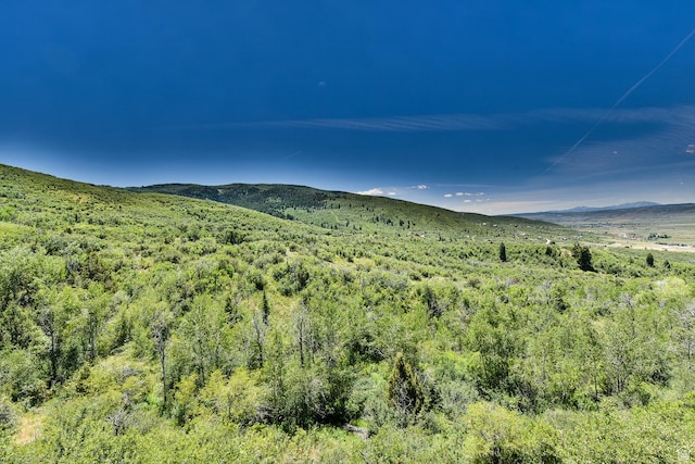 3090 N Rocky Rd E, Kamas, UT 84036 - view of mountain feature with a wooded view