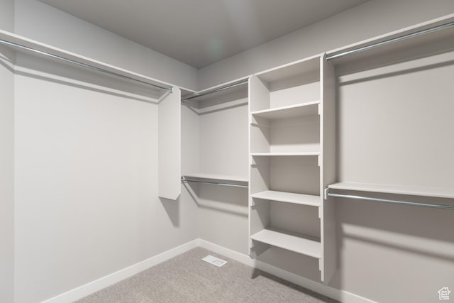 2552 W 2950 N Unit 119, Farr West, UT 84404 - walk in closet with carpet floors