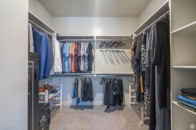658 N Sage Crest Dr, Washington, UT 84780 - walk in closet with carpet floors