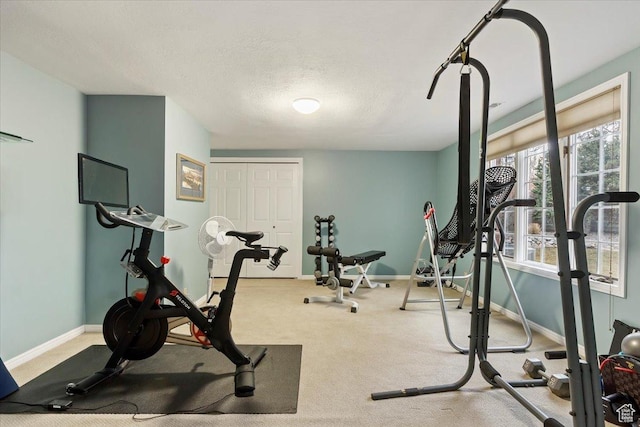 4972 S Boabab Crk, Holladay, UT 84117 - workout room featuring baseboards, a textured ceiling, and carpet flooring