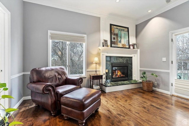 4972 S Boabab Crk, Holladay, UT 84117 - living area with wood finished floors, ornamental molding, a premium fireplace, and baseboards