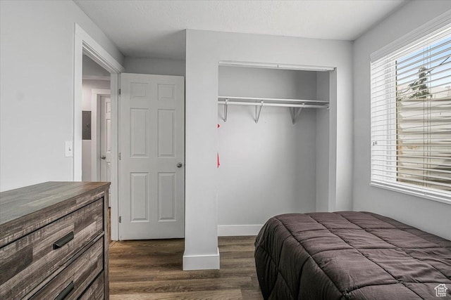 4799 S 3950 W, Roy, UT 84067 - bedroom with dark wood-type flooring, baseboards, and a closet