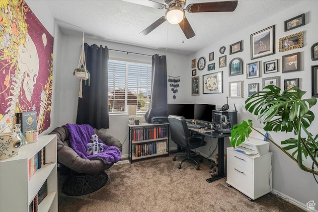 4799 S 3950 W, Roy, UT 84067 - office space featuring a textured ceiling, ceiling fan, carpet, and baseboards