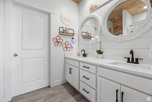 bathroom featuring wood finished floors and double vanity