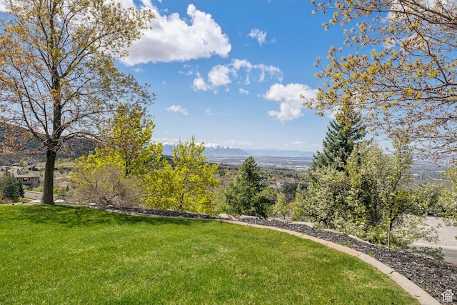 1714 Ridge Point Dr, Bountiful, UT 84010 - view of yard