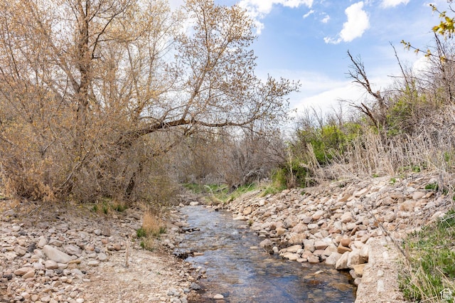 view of nature