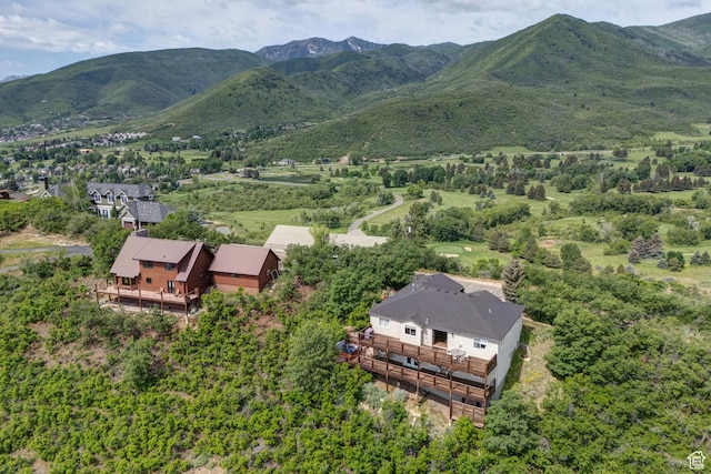 391 Bern Dr, Midway, UT 84049 - mountain view