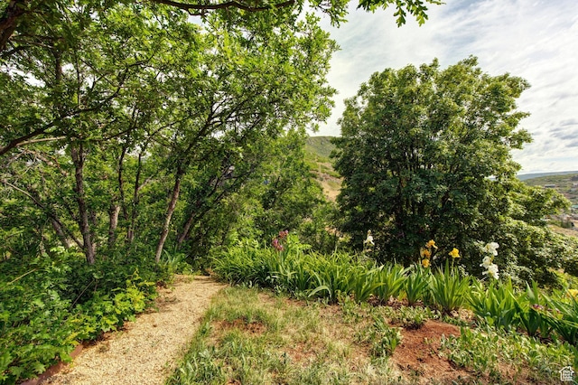 391 Bern Dr, Midway, UT 84049 - view of local wilderness