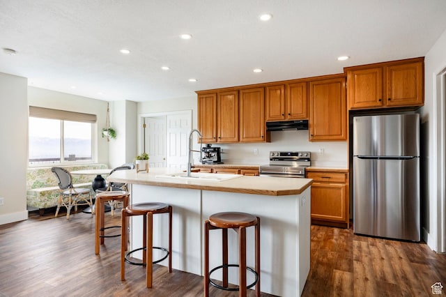 kitchen featuring appliances with stainless steel finishes, recessed lighting, under cabinet range hood, and a sink