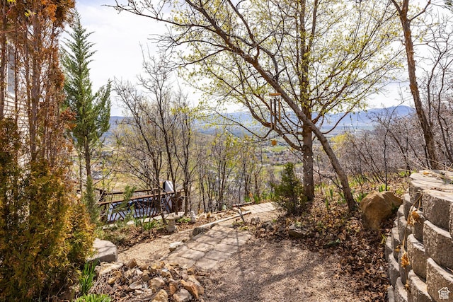 view of yard featuring a mountain view