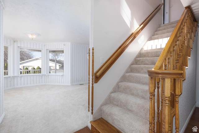 889 Upland Dr, Richfield, UT 84701 - stairs with carpet floors