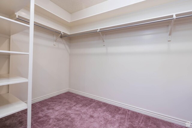 889 Upland Dr, Richfield, UT 84701 - spacious closet featuring carpet