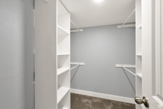 302 Old Farm Rd, Erda, UT 84074 - walk in closet with carpet flooring