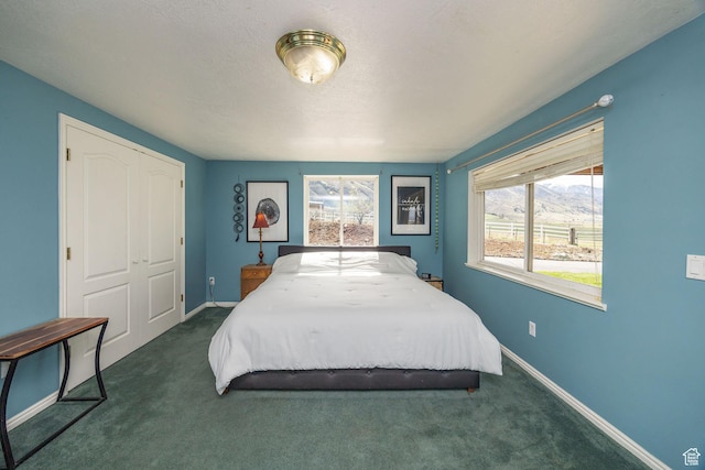 1910 E Canyon Ridge Dr, North Logan, UT 84341 - bedroom with baseboards, dark colored carpet, and a closet