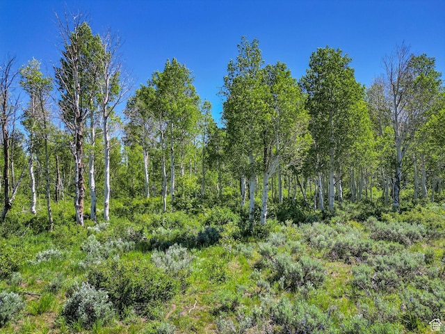 2980 N Wolf Creek Ranch Rd Unit 54, Heber City, UT 84032