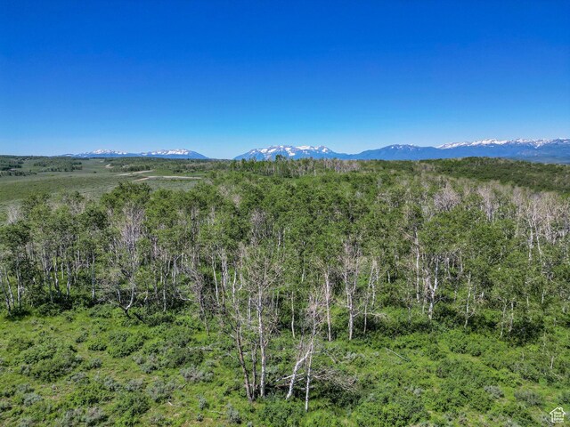 2980 N Wolf Creek Ranch Rd Unit 54, Heber City, UT 84032