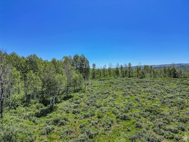 2980 N Wolf Creek Ranch Rd Unit 54, Heber City, UT 84032