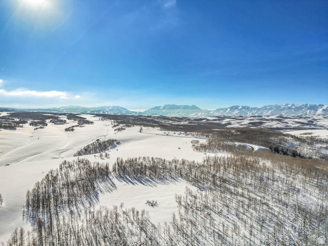 2980 N Wolf Creek Ranch Rd Unit 54, Heber City, UT 84032