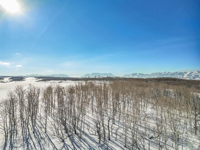 2980 N Wolf Creek Ranch Rd Unit 54, Heber City, UT 84032