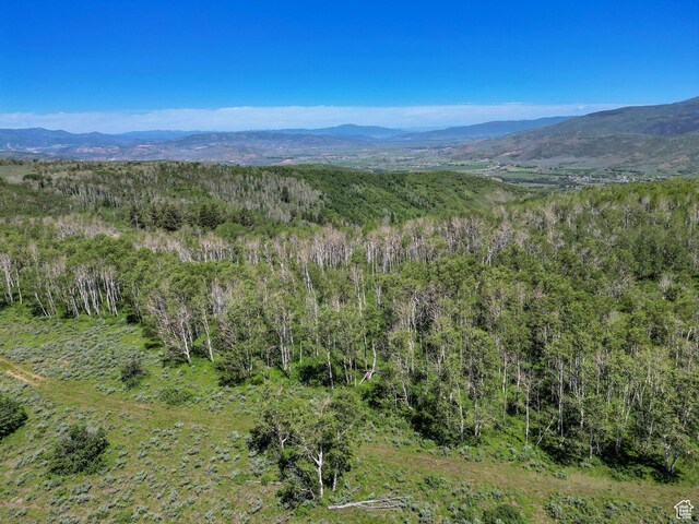 2980 N Wolf Creek Ranch Rd Unit 54, Heber City, UT 84032