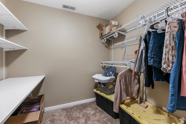 5454 N Windsor Way E, Stansbury Park, UT 84074 - spacious closet with carpet flooring