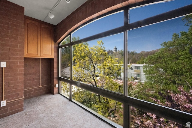 171 E 3rd Ave Unit 301, Salt Lake City, UT 84103 - unfurnished sunroom with track lighting