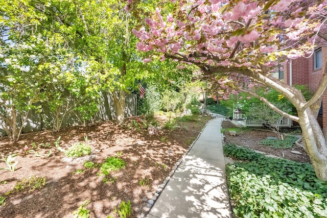 171 E 3rd Ave Unit 301, Salt Lake City, UT 84103 - view of yard