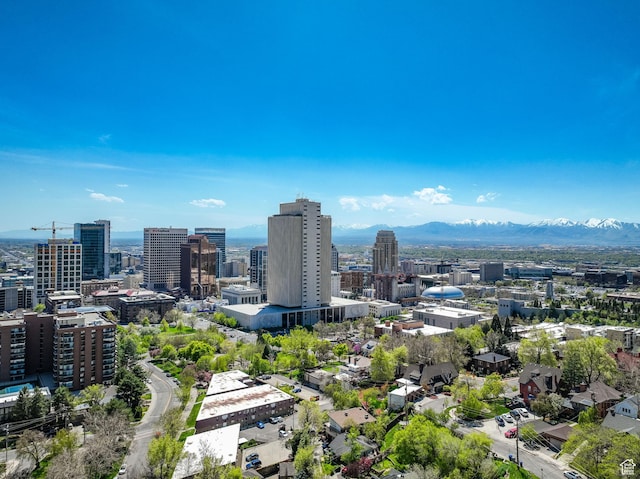 171 E 3rd Ave Unit 301, Salt Lake City, UT 84103 - city view featuring a mountain view