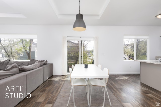 661 W 1820 S, Provo, UT 84601 - dining space with dark wood finished floors, baseboards, a wealth of natural light, and a tray ceiling