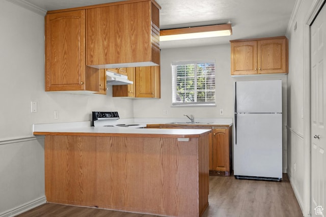 1514 S 200 E, Orem, UT 84058 - kitchen with freestanding refrigerator, range, under cabinet range hood, wood finished floors, and a peninsula