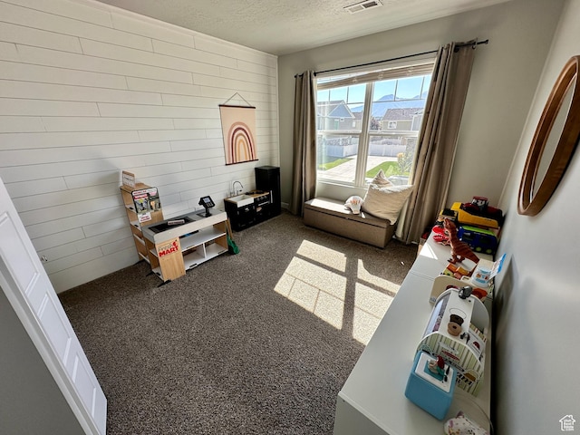 980 W 1275 S, Springville, UT 84663 - playroom featuring visible vents, dark carpet, and a textured ceiling