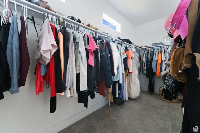 6463 W Maple Valley Cir S Unit 1030, West Jordan, UT 84081 - walk in closet with carpet