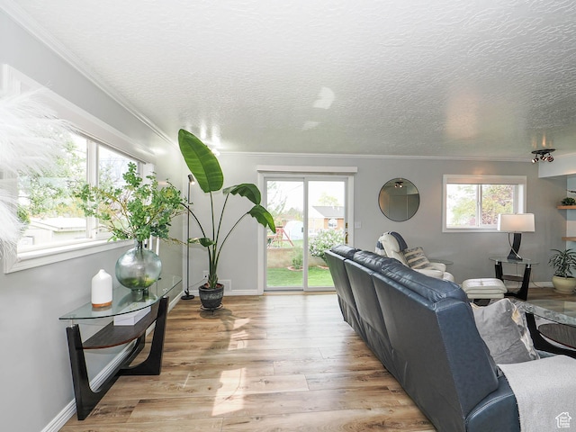 123 Lynnwood Dr, Clearfield, UT 84015 - living room featuring ornamental molding, wood finished floors, and plenty of natural light