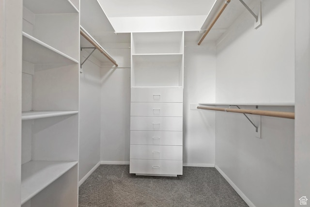 11274 S Eagle View Dr, Sandy, UT 84092 - walk in closet with dark carpet