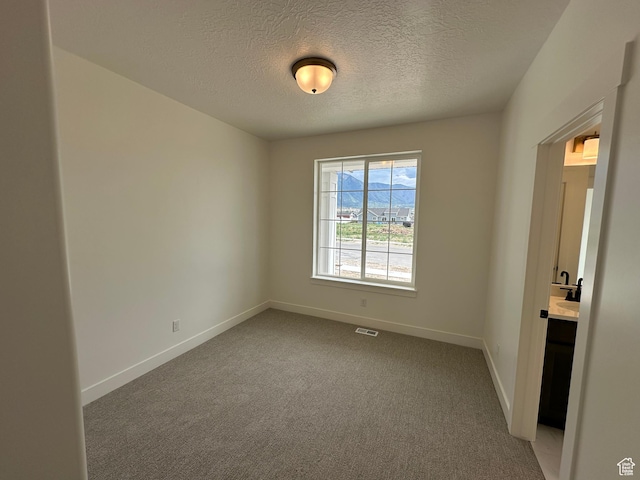 287 E 1150 N Unit 73, Salem, UT 84653 - empty room with a textured ceiling and light carpet