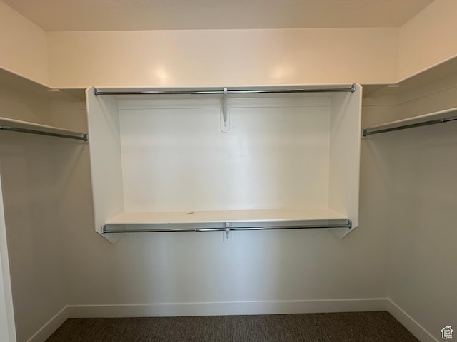 287 E 1150 N Unit 73, Salem, UT 84653 - spacious closet with dark carpet