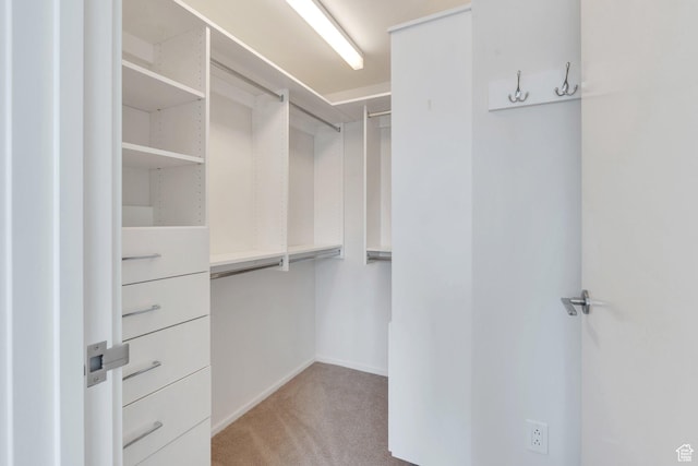 35 E 100 S Unit 1504, Salt Lake City, UT 84111 - walk in closet featuring carpet flooring