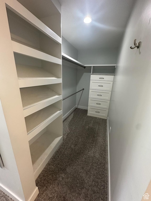 560 E S Temple St S Unit 302, Salt Lake City, UT 84102 - spacious closet with dark carpet