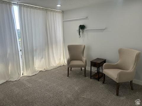 560 E S Temple St S Unit 302, Salt Lake City, UT 84102 - sitting room featuring carpet