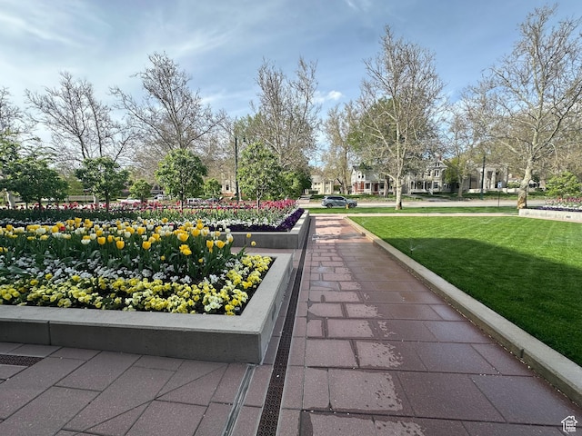 560 E S Temple St S Unit 302, Salt Lake City, UT 84102 - view of property's community with a lawn
