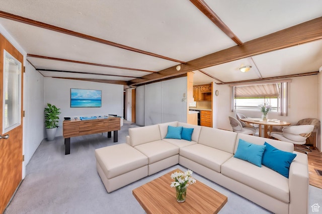 1575 Rocky Rd, Moab, UT 84532 - living area with carpet floors and beam ceiling