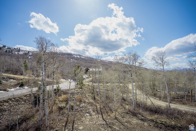 9313 E Deer Creek Dr S Unit 965, Heber City, UT 84032 - mountain view