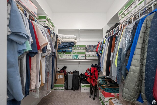 5801 S Garnet Dr Unit 2-301, St George, UT 84790 - spacious closet with carpet floors